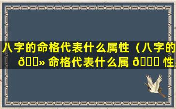 八字的命格代表什么属性（八字的 🌻 命格代表什么属 🐕 性男）